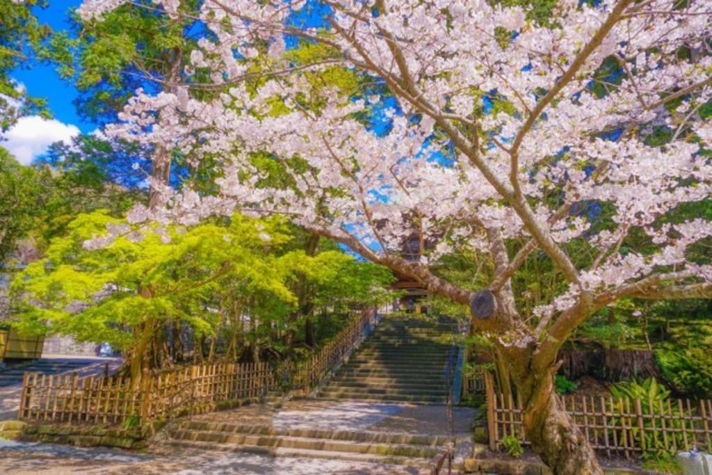 甘糟屋敷 Amakasu Yashiki Kamakura 빌라 외부 사진